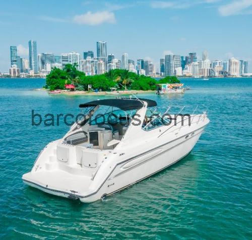 Maxum 4100 SCR ficha tecnica